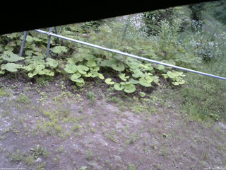 長野県菅平高原 ゆたか山荘 駐車場 2026/07/20 12:30