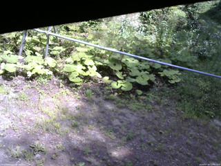長野県菅平高原 ゆたか山荘 駐車場 2026/07/20 13:00