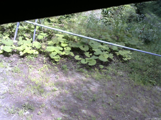 長野県菅平高原 ゆたか山荘 駐車場 2026/07/20 13:45