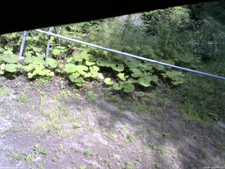 長野県菅平高原 ゆたか山荘 駐車場 2026/07/20 14:00