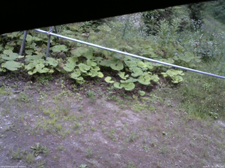 長野県菅平高原 ゆたか山荘 駐車場 2026/07/20 18:30