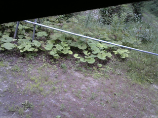 長野県菅平高原 ゆたか山荘 駐車場 2026/07/20 18:45