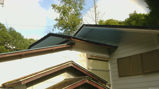 長野県菅平高原 ゆたか山荘 駐車場奥 2026/07/20 07:30