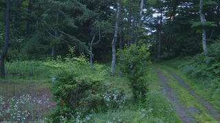 長野県菅平高原 ゆたか山荘 坂上 2026/07/20 05:00