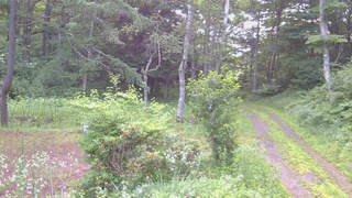 長野県菅平高原 ゆたか山荘 坂上 2026/07/20 05:30