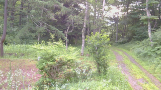 長野県菅平高原 ゆたか山荘 坂上 2026/07/20 05:45