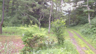 長野県菅平高原 ゆたか山荘 坂上 2026/07/20 06:00
