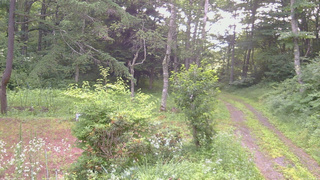 長野県菅平高原 ゆたか山荘 坂上 2026/07/20 06:15