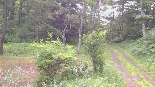 長野県菅平高原 ゆたか山荘 坂上 2026/07/20 06:30