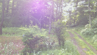 長野県菅平高原 ゆたか山荘 坂上 2026/07/20 06:45