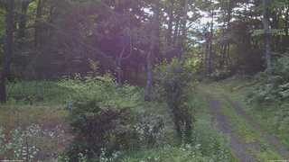 長野県菅平高原 ゆたか山荘 坂上 2026/07/20 07:15