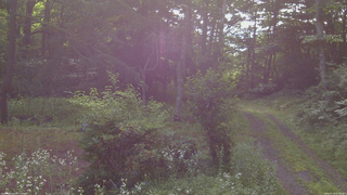 長野県菅平高原 ゆたか山荘 坂上 2026/07/20 07:30