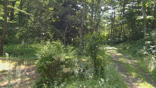 長野県菅平高原 ゆたか山荘 坂上 2026/07/20 08:15