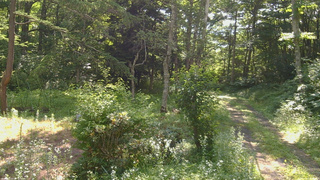 長野県菅平高原 ゆたか山荘 坂上 2026/07/20 08:30