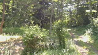 長野県菅平高原 ゆたか山荘 坂上 2026/07/20 08:45