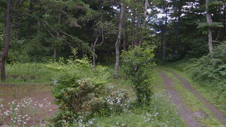 長野県菅平高原 ゆたか山荘 坂上 2026/07/20 09:30