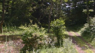 長野県菅平高原 ゆたか山荘 坂上 2026/07/20 09:45