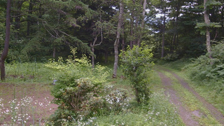 長野県菅平高原 ゆたか山荘 坂上 2026/07/20 10:00