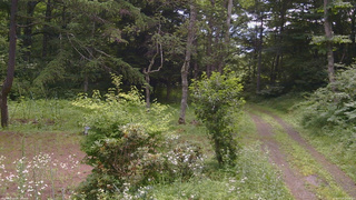長野県菅平高原 ゆたか山荘 坂上 2026/07/20 10:15