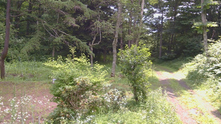 長野県菅平高原 ゆたか山荘 坂上 2026/07/20 10:30
