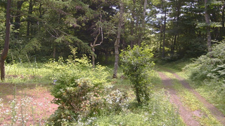 長野県菅平高原 ゆたか山荘 坂上 2026/07/20 10:45