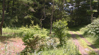 長野県菅平高原 ゆたか山荘 坂上 2026/07/20 11:00