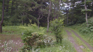 長野県菅平高原 ゆたか山荘 坂上 2026/07/20 11:15