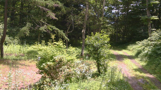 長野県菅平高原 ゆたか山荘 坂上 2026/07/20 11:30