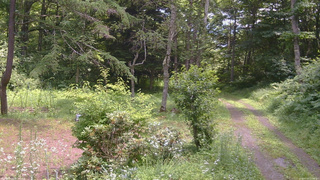 長野県菅平高原 ゆたか山荘 坂上 2026/07/20 11:45