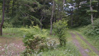 長野県菅平高原 ゆたか山荘 坂上 2026/07/20 12:00