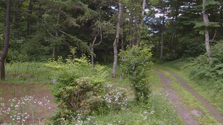 長野県菅平高原 ゆたか山荘 坂上 2026/07/20 12:15
