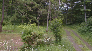 長野県菅平高原 ゆたか山荘 坂上 2026/07/20 12:30
