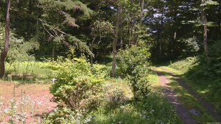 長野県菅平高原 ゆたか山荘 坂上 2026/07/20 12:45