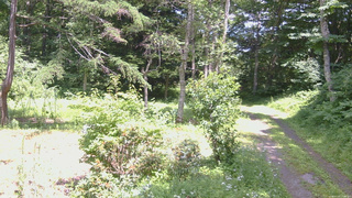 長野県菅平高原 ゆたか山荘 坂上 2026/07/20 13:00