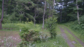 長野県菅平高原 ゆたか山荘 坂上 2026/07/20 13:15