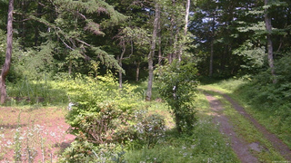 長野県菅平高原 ゆたか山荘 坂上 2026/07/20 13:45