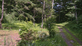 長野県菅平高原 ゆたか山荘 坂上 2026/07/20 14:00
