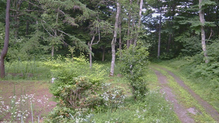 長野県菅平高原 ゆたか山荘 坂上 2026/07/20 14:15