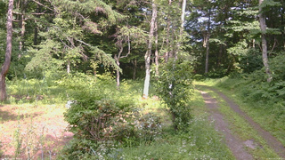 長野県菅平高原 ゆたか山荘 坂上 2026/07/20 14:30