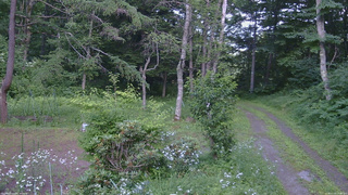長野県菅平高原 ゆたか山荘 坂上 2026/07/20 14:45