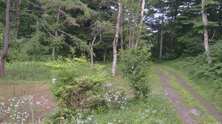 長野県菅平高原 ゆたか山荘 坂上 2026/07/20 15:00