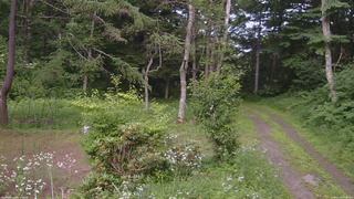 長野県菅平高原 ゆたか山荘 坂上 2026/07/20 15:15