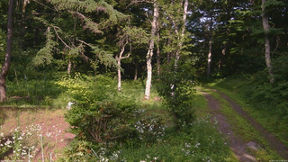 長野県菅平高原 ゆたか山荘 坂上 2026/07/20 15:30