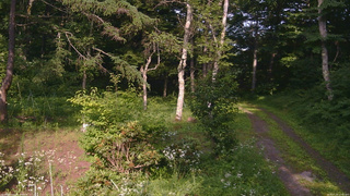 長野県菅平高原 ゆたか山荘 坂上 2026/07/20 15:45