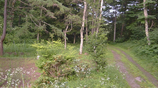 長野県菅平高原 ゆたか山荘 坂上 2026/07/20 16:00