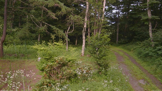 長野県菅平高原 ゆたか山荘 坂上 2026/07/20 16:15