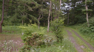 長野県菅平高原 ゆたか山荘 坂上 2026/07/20 16:45