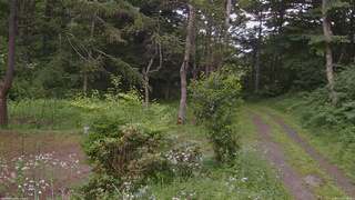 長野県菅平高原 ゆたか山荘 坂上 2026/07/20 17:00