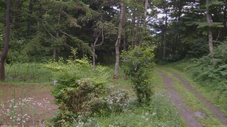 長野県菅平高原 ゆたか山荘 坂上 2026/07/20 17:15