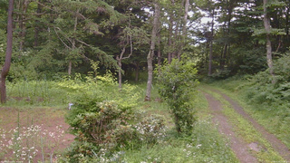 長野県菅平高原 ゆたか山荘 坂上 2026/07/20 17:30